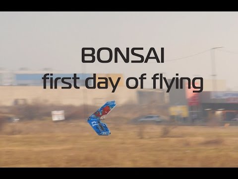 Bonsai mini flying wing - first day of flights! - UCG_c0DGOOGHrEu3TO1Hl3AA