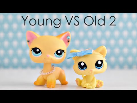 Young VS Old LPStubers 2