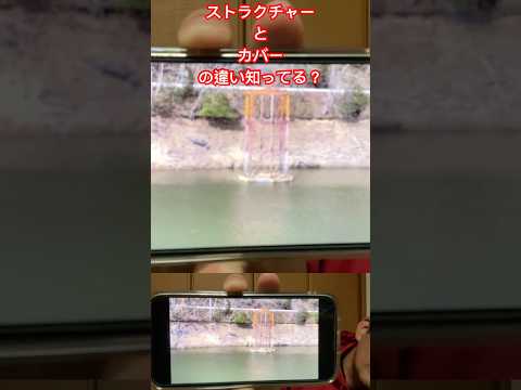 意外と知らない、ストラクチャーとカバーの違い これらはどっちかな? #バス釣り  #バスフィッシング  #bassfishing #fishing