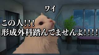 【猫ミーム】医師はなぜ美容に流れるのか　#猫ミーム #vtuber  #医師解説