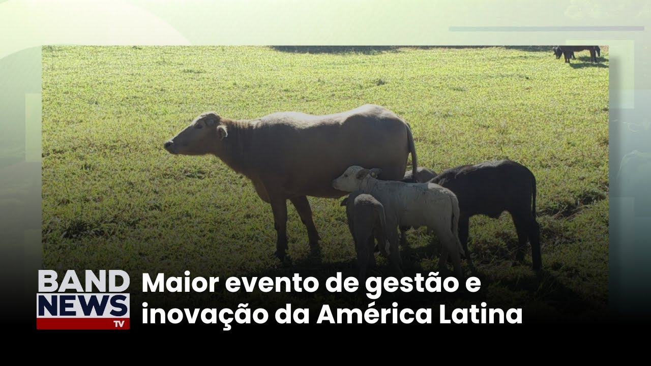Hoje começa o HSM+ no Transamerica Expo Center em SP | BandNews TV TV Online Hoje começa o HSM+ no Transamerica Expo Center em SP | BandNews TV