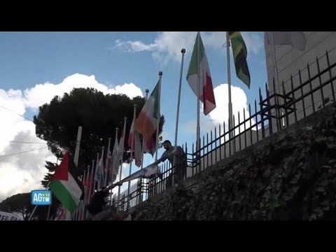 Tensioni al corteo pro Palestina a Roma: strappata la bandiera d'Israele dalla sede della Fao