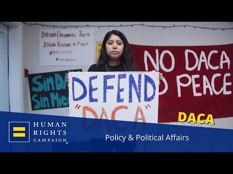 LGBTQ Dreamer Erika Castro on importance of DACA