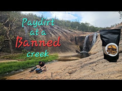 Gold rat engineering paydirt review at Spring creek Beechworth