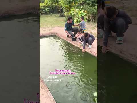 วิถีชีวิตคนอีสาน #เกษตรผสมผสาน #ความสุข #คลองไส้ไก่ #สวน #canal #fish #automobile #nature #garden