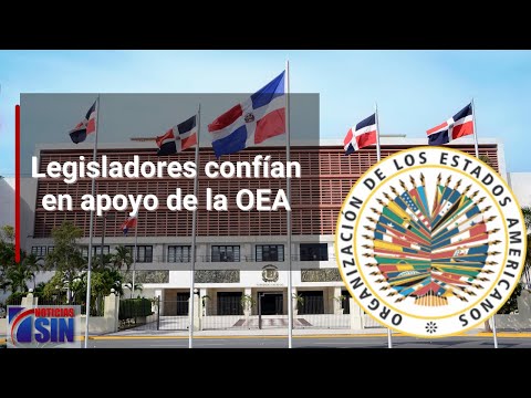Legisladores confían en apoyo de la OEA
