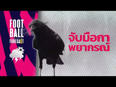 FOOTBALL FORECAST จับมือกา พยากรณ์ Ep.10