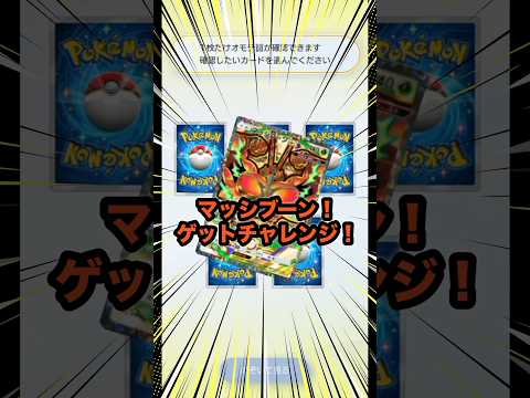 【ポケポケ】のぞき見チャンスきたのに…まさかのハズレ?!