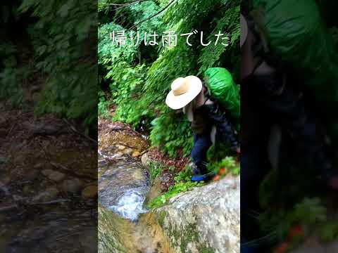 知っていたけど下山は雨