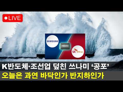 긴급라이브🔴오늘 삼전닉스를 구타한 3단봉의 정체는?