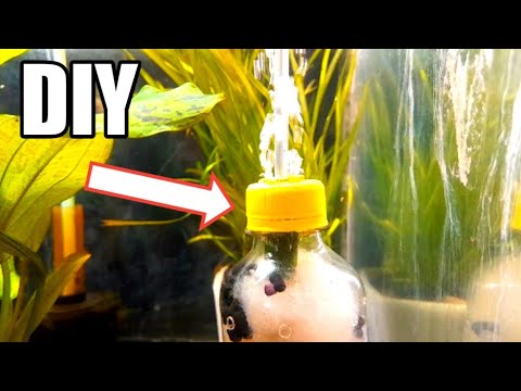 Make DIY Sponge Filter Using Coke Bottle | Design  Homemade Sponge Filter 

How to make DIY Sponge Filter? Watch the whole video to learn more. We will