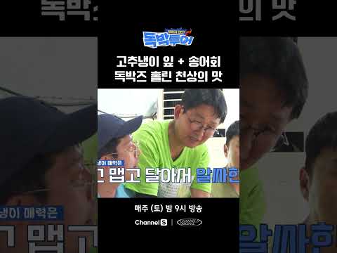 고추냉이와 송어회 <strong>미쳤다</strong> #끝까지간다독박투어 #채널S