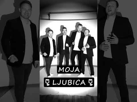 ❤️MOJA LJUBICA❤️ #music #cover  #naveza #newmusic #ansambel
