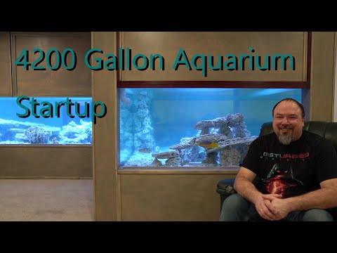 4200 Gallon Aquarium Startup The video today will talk about starting up the 4200 gallon aquarium.  I overview my new RO/DI syste