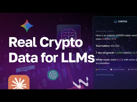 Introducing Moralis Cortex – Real Crypto Data for AI (Built for LLMs) 🤯