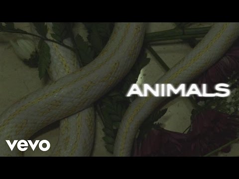 Maroon 5 - Animals (Lyric Video) - UCN1hnUccO4FD5WfM7ithXaw