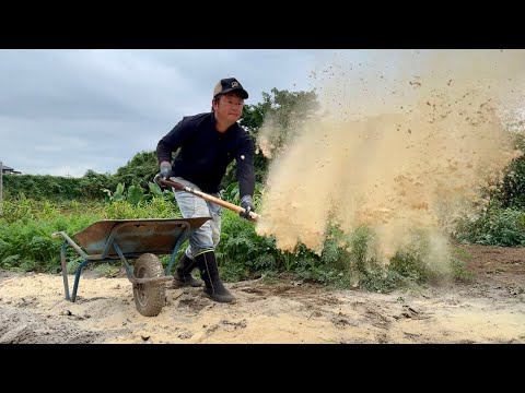 米ぬか肥料と籾殻で野菜が大きく育つ！身近な資源で土作り！25/10/5