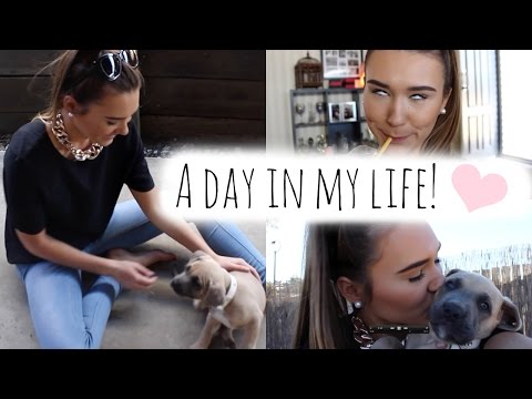 A Day In My Life | Shani Grimmond - UCPG6A5tNaPfv2SRNW2beq5Q