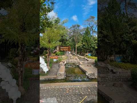 Hot spring 🥚🥚🥵 #hotspring #tailandia #huevos #shorts #viajes #fypシ