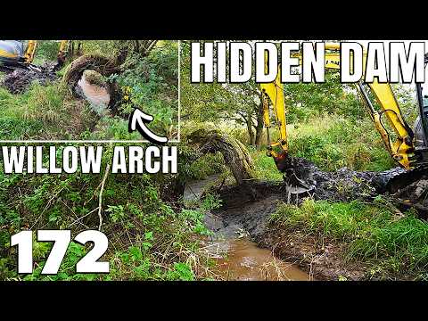Hidden Dam Under the ARCHED Willow! | THREE DAMS Release | Excavator | No.172
