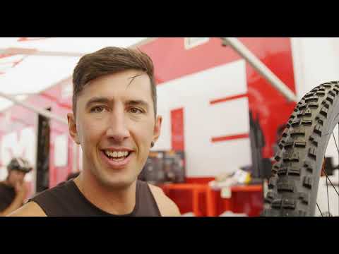 THE SYNDICATE - Taste The Rainbow - World Champs Quali and Practice