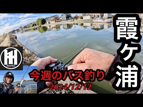 バス釣り今週の霞ヶ浦！2024年12月12日