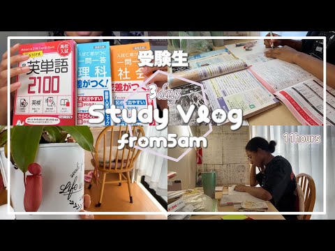 【studyvlog】朝5時起きで一日11時間勉強する受験生すぎる夏休み３Daysルーティン【中学３年】