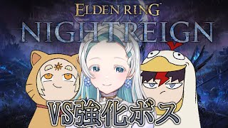【ELDEN RING NIGHTREIGN】戦闘！強化グラディウス！再び！【羽渦ミウネル/善額サンパロー/未知又バトヤ】