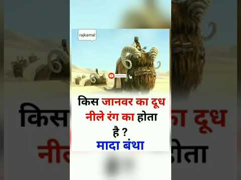 किस👉🏻 जानवर का दूध नीले रंग का होता है ? 🤔 #shorts_facts_blue_viral_animal //