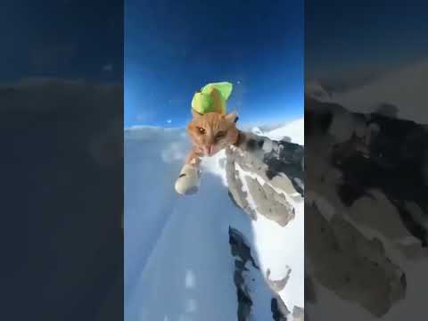 에베레스트산에서 셀카