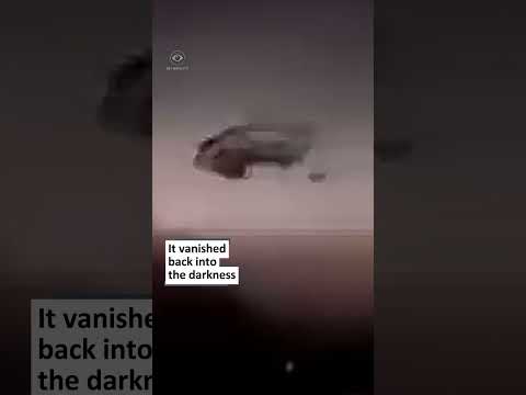 Saucer UFO Flashes During Vietnam Storm #uap #ufo