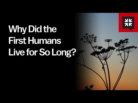 Why Did the First Humans Live for So Long? // Ask Pastor John