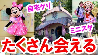 散策／トゥーンタウンでミニーのグリーティング三昧（2025-06 東京ディズニーランド）