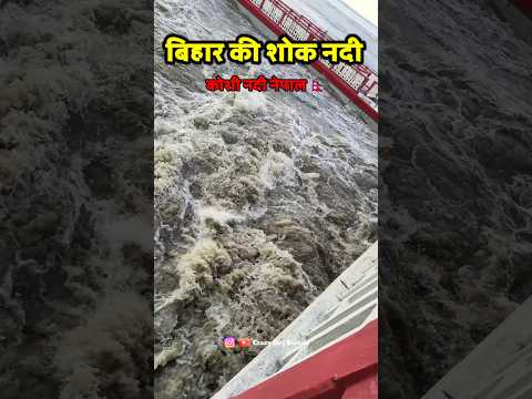 बिहार की शोक नदी कोशी नदी // koshi barrage // koshi barrage news // koshi Barrage live // #viral