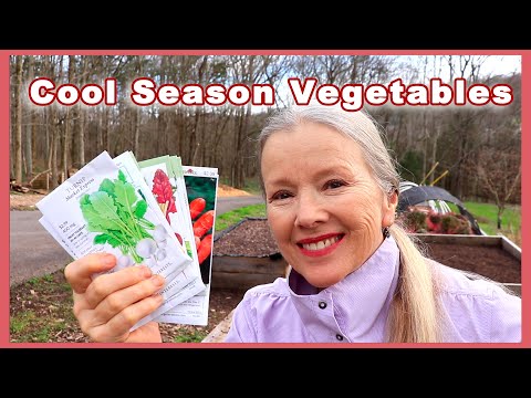 Plant THESE 4 Cool Season Vegetables Now! EASY in a Raised Bed! Spring Planting Part 3