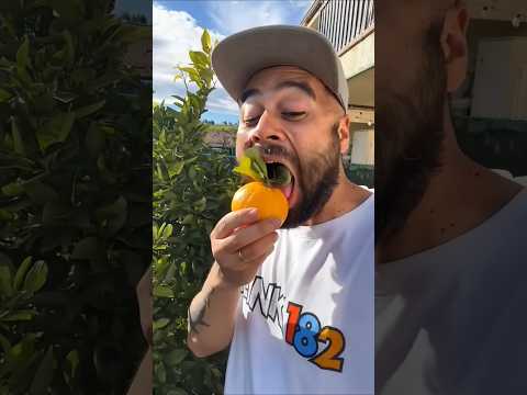 Want to try my oranges?🍊🍊🧡