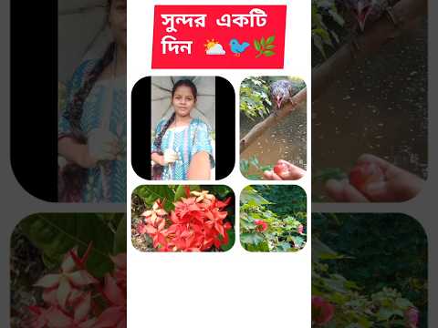 সুন্দর একটি দিন ⛅🐦🌿 #vlog #minivlog #dailyvlog #shorts #shortvideo #subscribe @RimiNaskar672