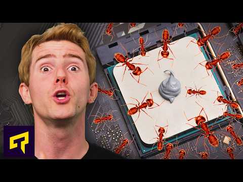 Are ANTS Eating Your Thermal Paste?