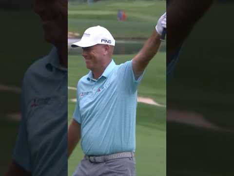Stewart Cink-s the clutch chip for birdie ⛳👀
