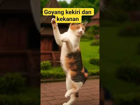 kucing meong meong lucu goyang kekiri dan kekanan#kucing#meong#lucu#shorts