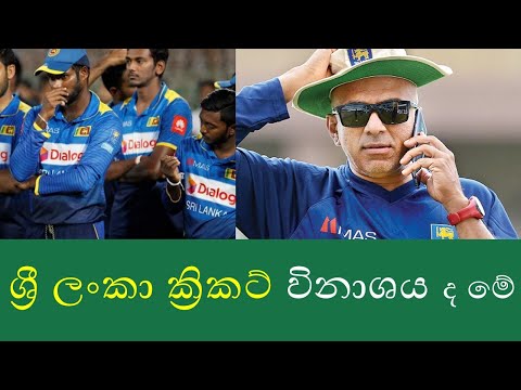 ශ්රී ලංකා ක්රිකට් අර්බුදය ගැන චරිත් සේනානායකගෙන් හෙළිදරව්වක්