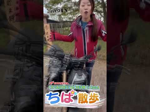 【週刊バイクTV】『ちば散歩 CB750 HORNETとCB650R編』チバテレでの放送は10/15(水)22:30~ 【#Shorts】