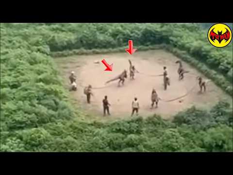 20 encuentros prehistóricos que nadie creería si no fueran filmados