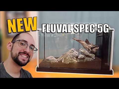 I started my new Fluval Spec 5G aquarium (aquascap Hey! Are you thinking about buying a Fluval Spec 5 gallon aquarium? It is a small aquarium ideal for