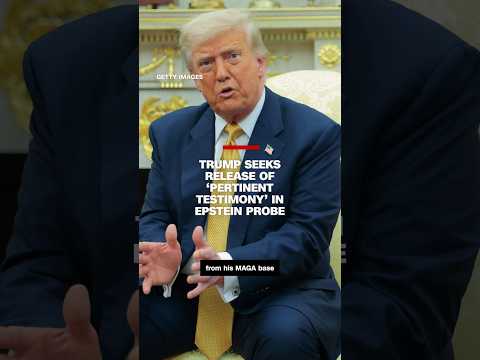 Trump seeks release of 'pertinent testimony’ in Epstein probe