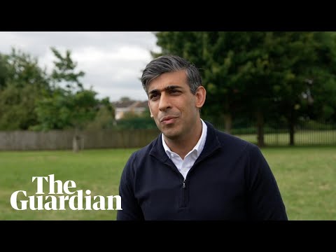 Rishi Sunak says Reform activist's racial slur 'too important not to call out'