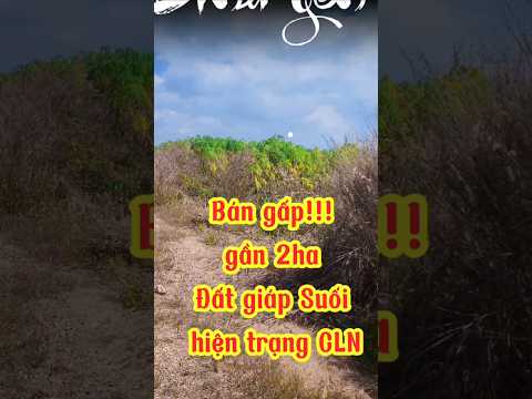 Bán gấp! Gần 2ha Đất giáp Suối xã Hòa Bình(cũ)#bdsthiennhan #Datgiapsuoi #xuhuongyoutube