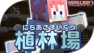 【 Minecraft 】地下の植林場を作るのは簡単ではない！学び！【 季咲あんこ / ななしいんく 】