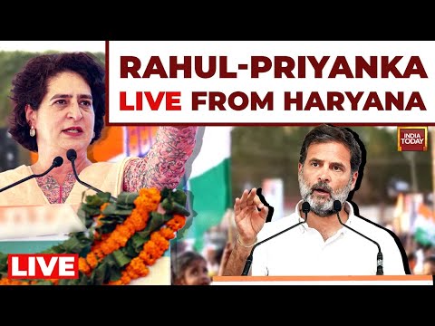 LIVE: Rahul Gandhi- Priyanka  LIVE From Haryana | Haryana Elections 2024 | India Today LIVE News