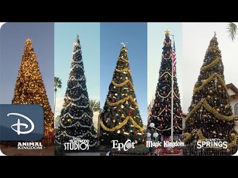 Watch Walt Disney World Resort Transform for the Holidays - UC1xwwLwm6WSMbUn_Tp597hQ